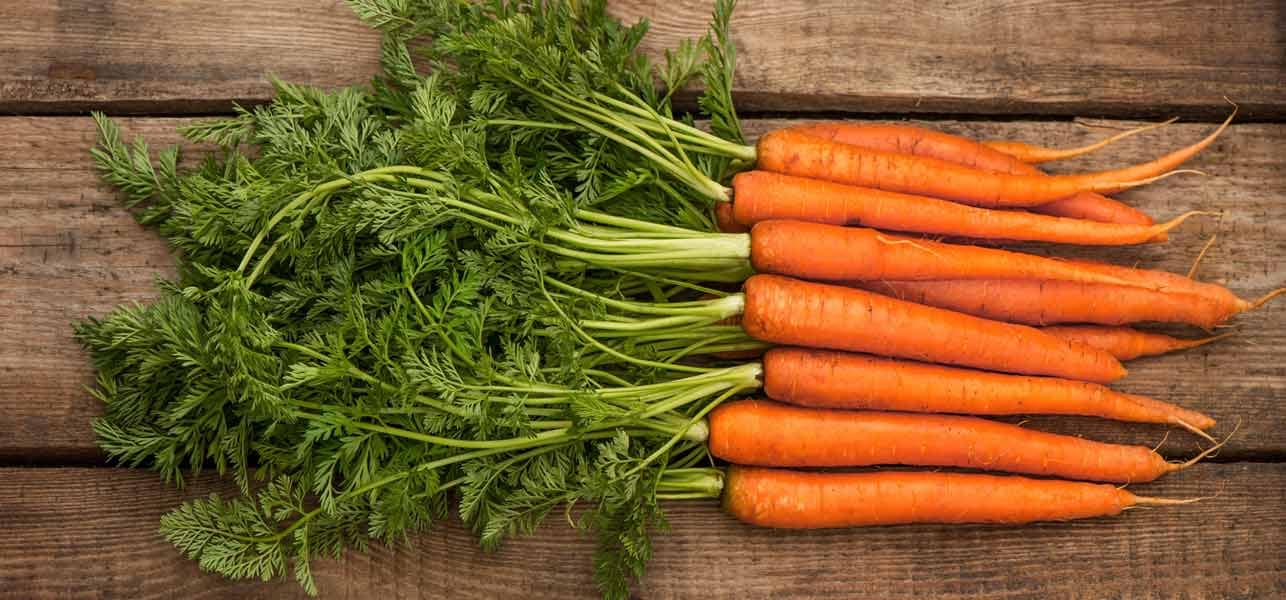 9 Carrots benefits Ayurveda Ruh Yoga